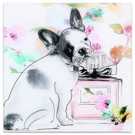 EMPIRE ART DIRECT Frameless Free Floating Tempered Glass Art by EAD Art Coop - Little Frenchie TMP-JP410-2020